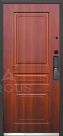 Аргус Входная дверь Smart max 12 мм Арне, арт. 0006701