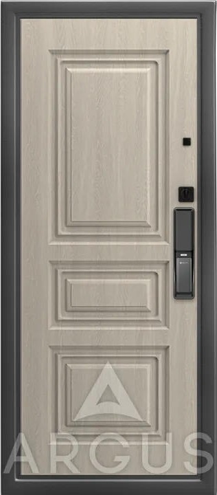Аргус Входная дверь Smart max 12 мм Скиф, арт. 0006702 - фото №2