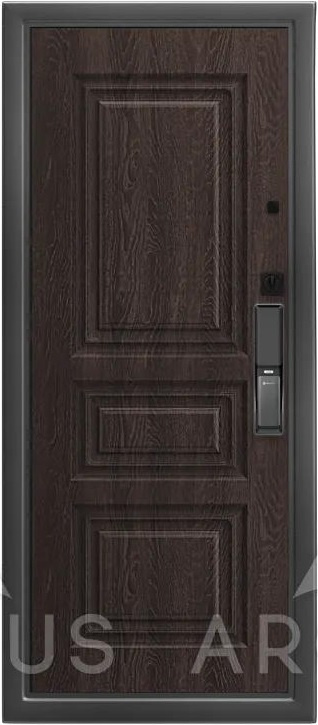 Аргус Входная дверь Smart max 12 мм Скиф, арт. 0006702 - фото №1